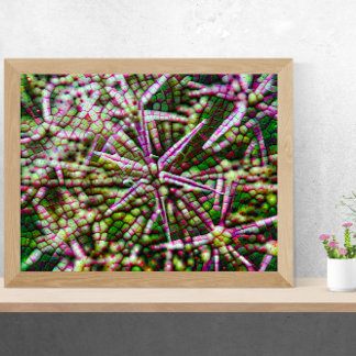 Garlic Flower Cellular Abstract Wall Art