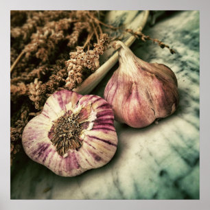 Garlic / Foodie kitchen poster