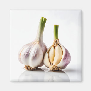 Garlic Magnet