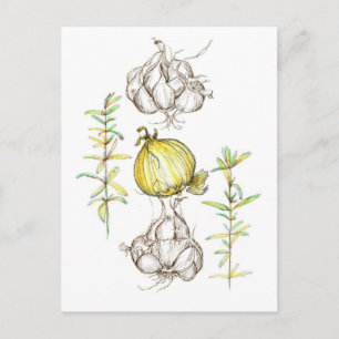 Garlic Onions Kitchen Cooking Herbs Garden Plant Postcard