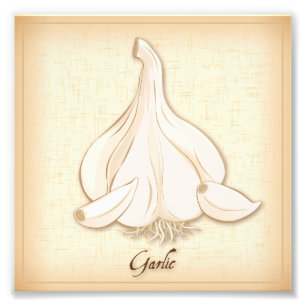 Garlic Photo Print