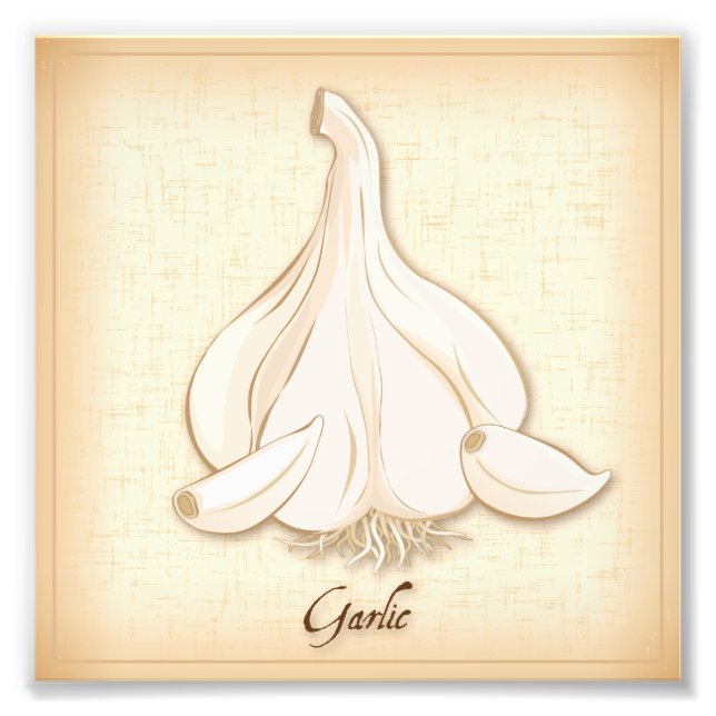 Garlic Photo Print (Front)