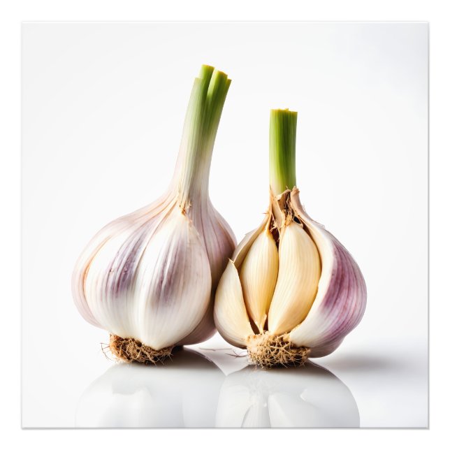 Garlic Photo Print (Front)