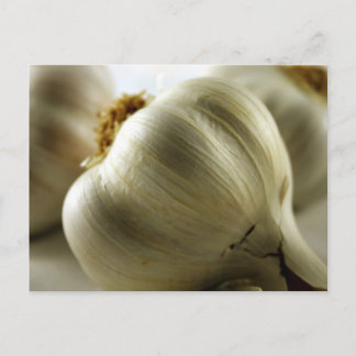 Garlic Postcard