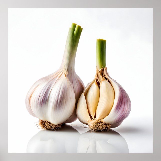 Garlic Poster (Front)