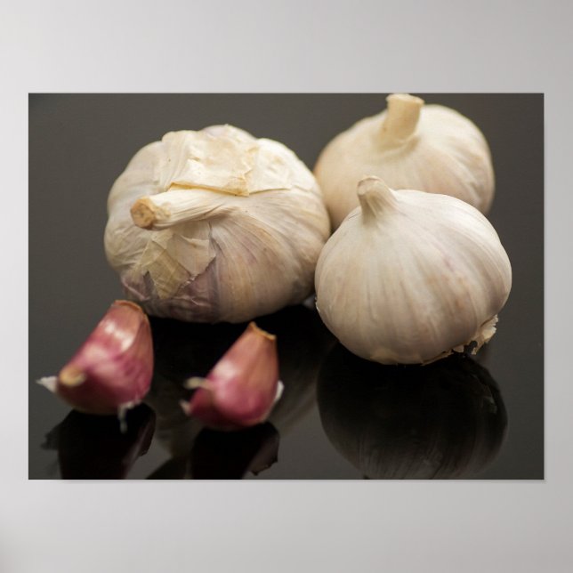 Garlic Poster (Front)