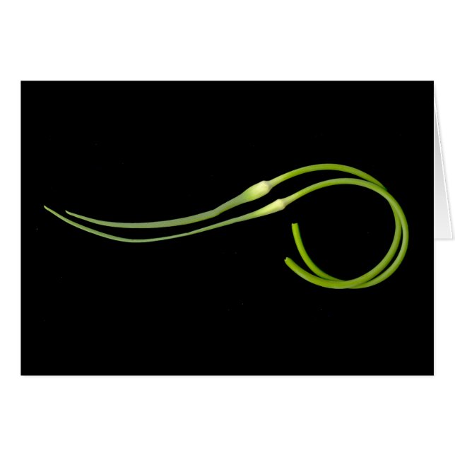 garlic scape (Front Horizontal)