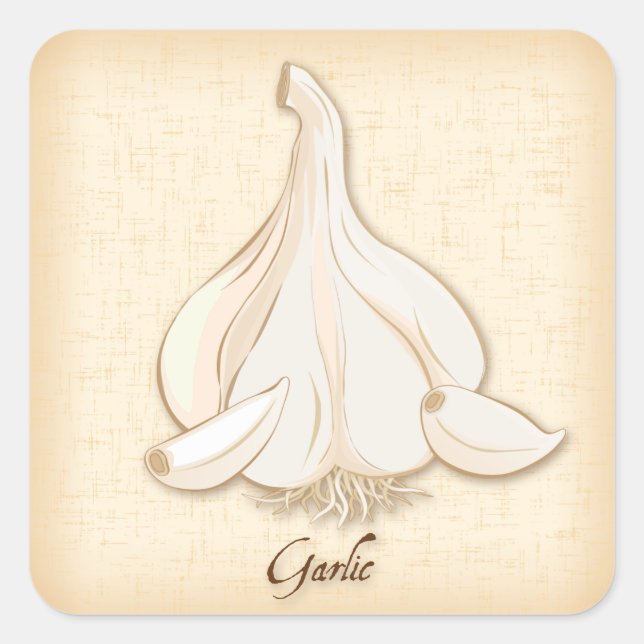 Garlic Square Sticker (Front)