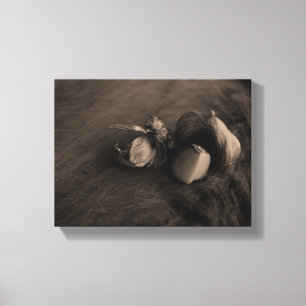 Garlic Still Life Fine Art Photograph Canvas Print