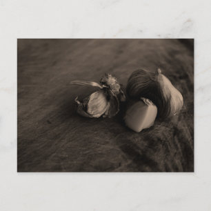 Garlic Still Life Fine Art Photograph Postcard