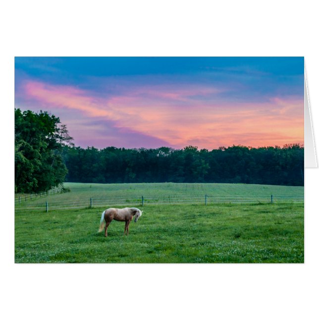 Garmin with Sunset (Front Horizontal)