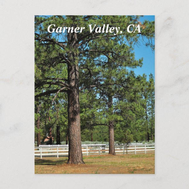 Garner Valley Postcard (Front)