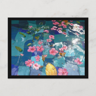 garnish over water postcard
