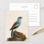 Garrulous Roller | William Lewin Postcard<br><div class="desc">Garrulous Roller (before 1790) | William Lewin’s Garrulous Roller is a vibrant and meticulously detailed painting showcasing a striking brown and turquoise roller perched on a log against a minimalist neutral background. The artist masterfully captures the bird’s vivid plumage and poised stance, emphasising its natural beauty. The understated backdrop draws...</div>