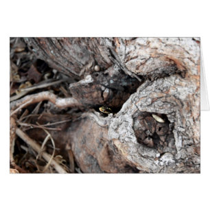 Garter Snake Card