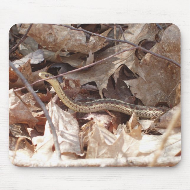 Garter Snake Mouse Mat (Front)