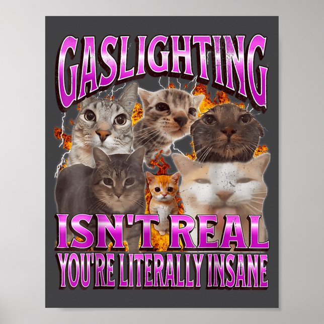 Gaslighting Isn't Real Funny Cat Meme Bootleg Grap Poster (Front)