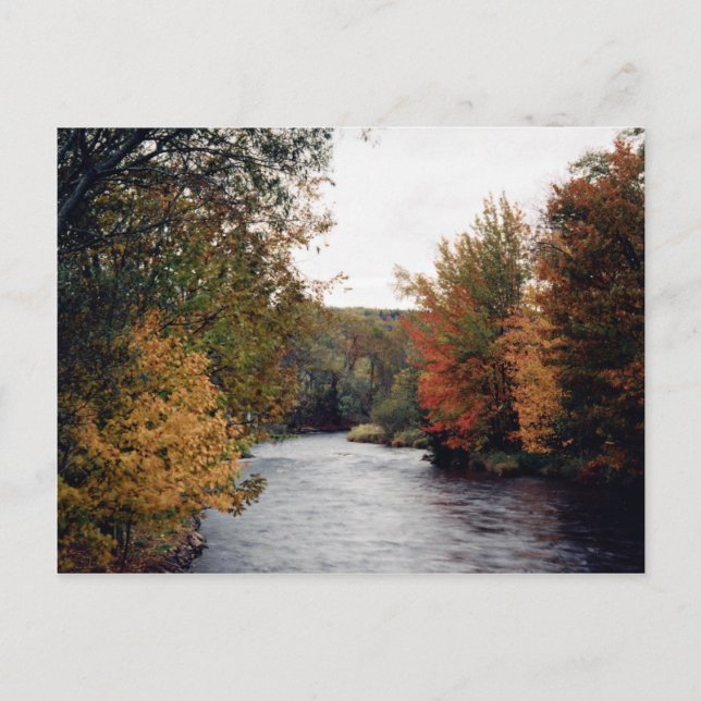 Gaspereau River, Nova Scotia, Canada at the Cornis Postcard (Front)