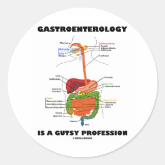 Gastroenterology Is A Gutsy Profession Classic Round Sticker