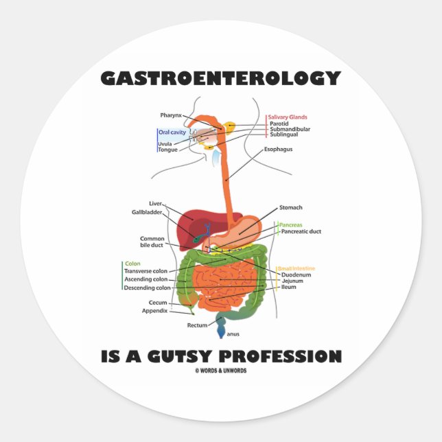 Gastroenterology Is A Gutsy Profession Classic Round Sticker (Front)