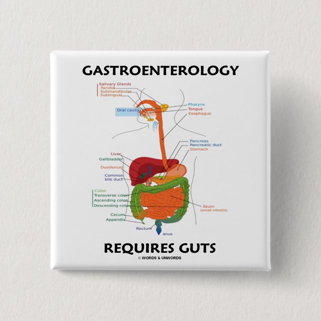 Gastroenterology Requires Guts (Digestive System) 15 Cm Square Badge (Front)