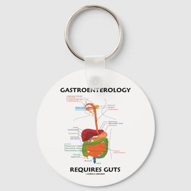 Gastroenterology Requires Guts (Digestive System) Key Ring (Front)