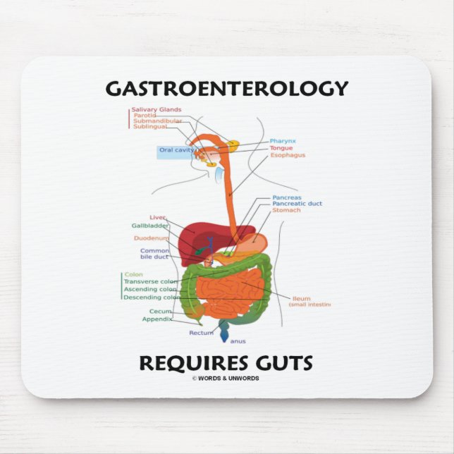 Gastroenterology Requires Guts (Digestive System) Mouse Mat (Front)