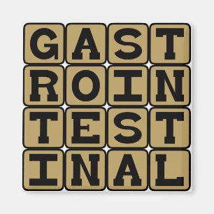 Gastrointestinal, GI Tract Magnet