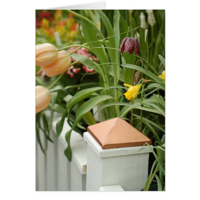 Gate of Flowers Card (Front)