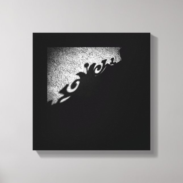 Gate Shadow Canvas Print (Front)