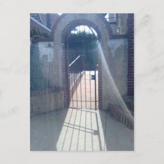 Gated Door With Veil Reflected Light Postcard