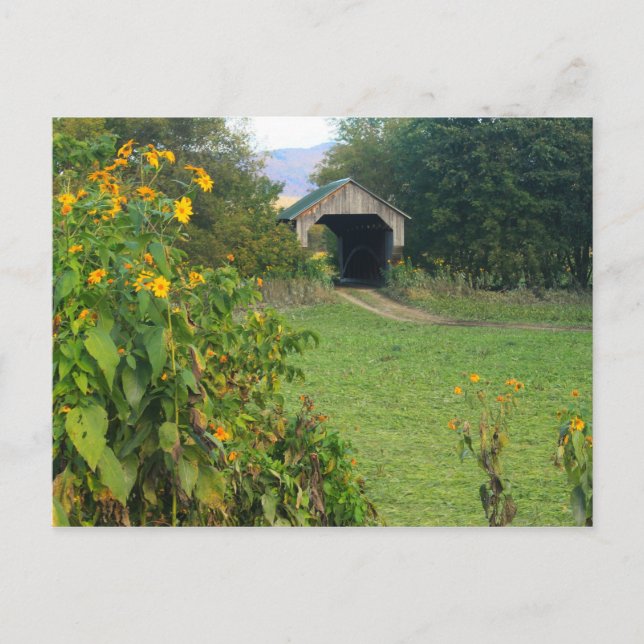 Gates Farm Covered Bridge Sunflowers Cambridge VT Postcard (Front)