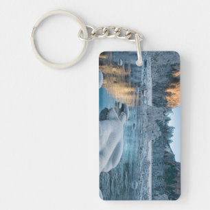 Gates in Yosemite Key Ring