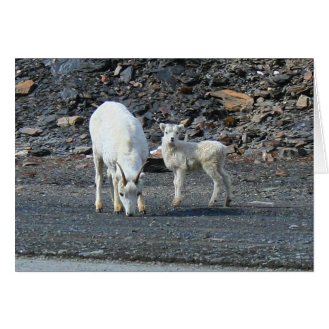 Gates of the Arctic Blank Card (Front Horizontal)