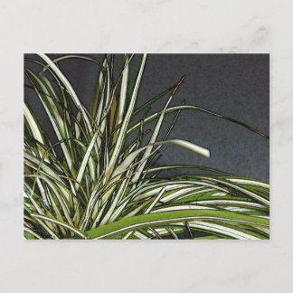 Gatha Postcard