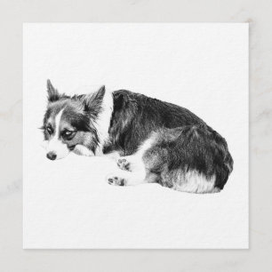 Gather Corgi, Cozy Night Invitation