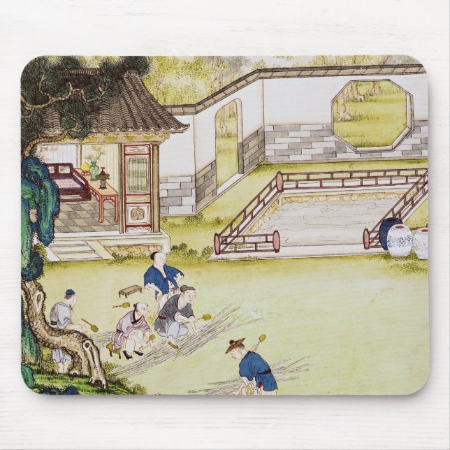 Gathering bamboo to make paper mouse mat (Front)
