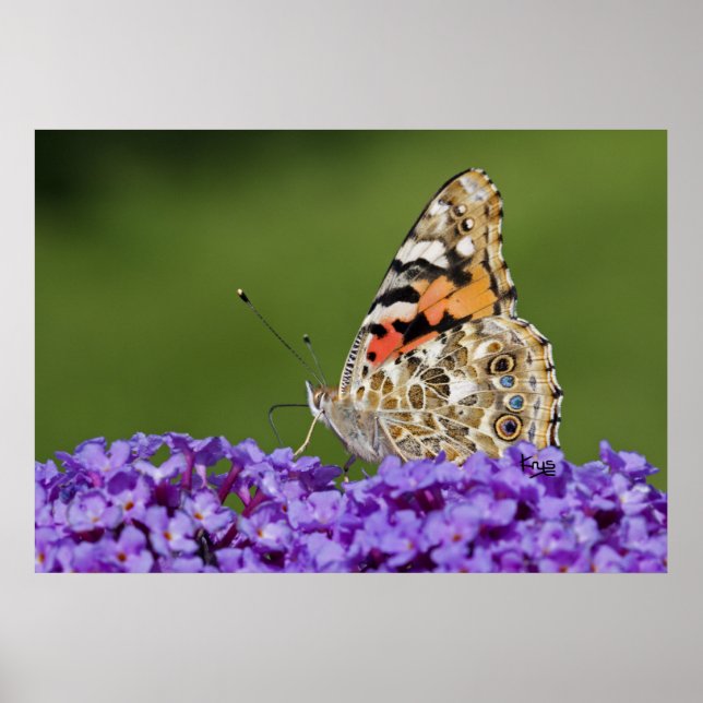 Gathering Nectar Print (Front)