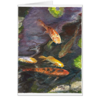 Gathering of Koi fish