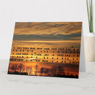  Gathering of Starlings  Card