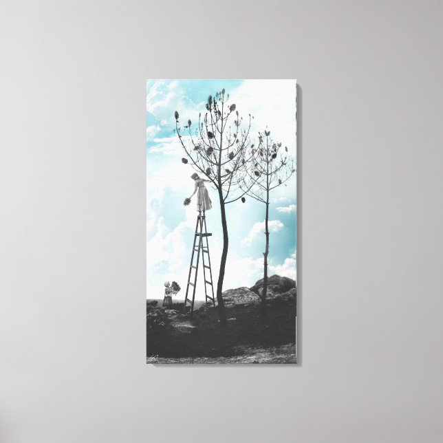 Gathering Pine Cones Canvas Print (Front)
