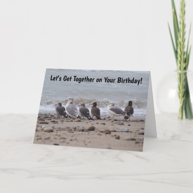Gathering Sea Gull Birds Get Together Birthday Card (Front)