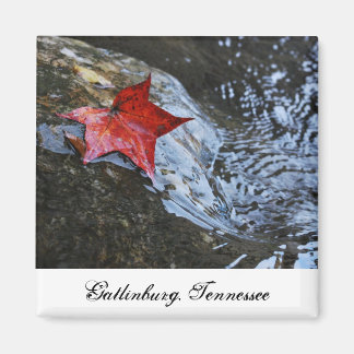 Gatlinburg Leaf Magnet