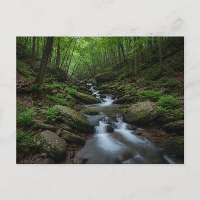 Gatlinburg , Tennessee Forest waterfall Postcard (Front)