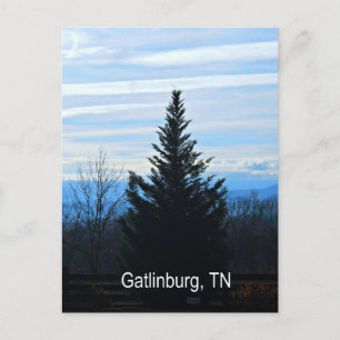 Gatlinburg, Tennessee Postcard