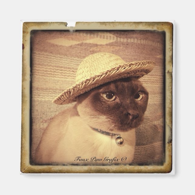Gato/Tonkinese Magnet (Front)