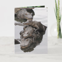 Gator Birthday Party