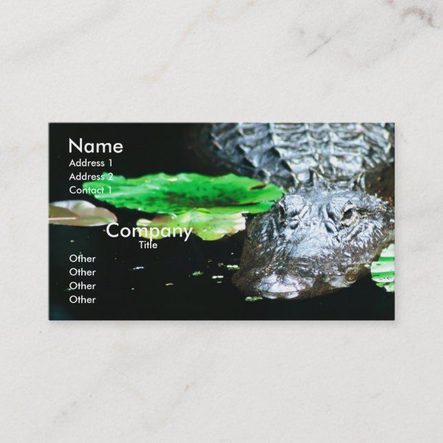 Gator Business Card (Front)