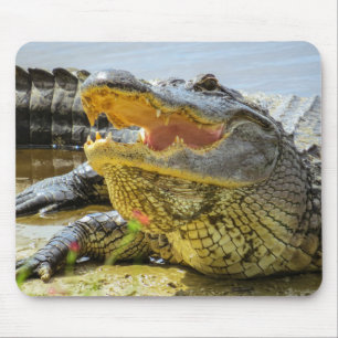 Gator. Face to face Mouse Mat