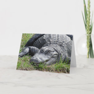Gator Greeting Card